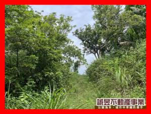 誠昱/東山水雲里山坡保育.